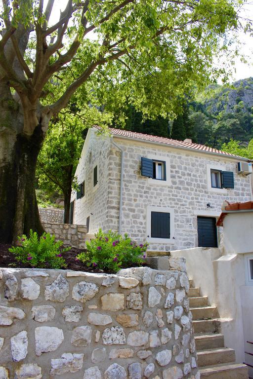 Villa Mima Kotor Dış mekan fotoğraf
