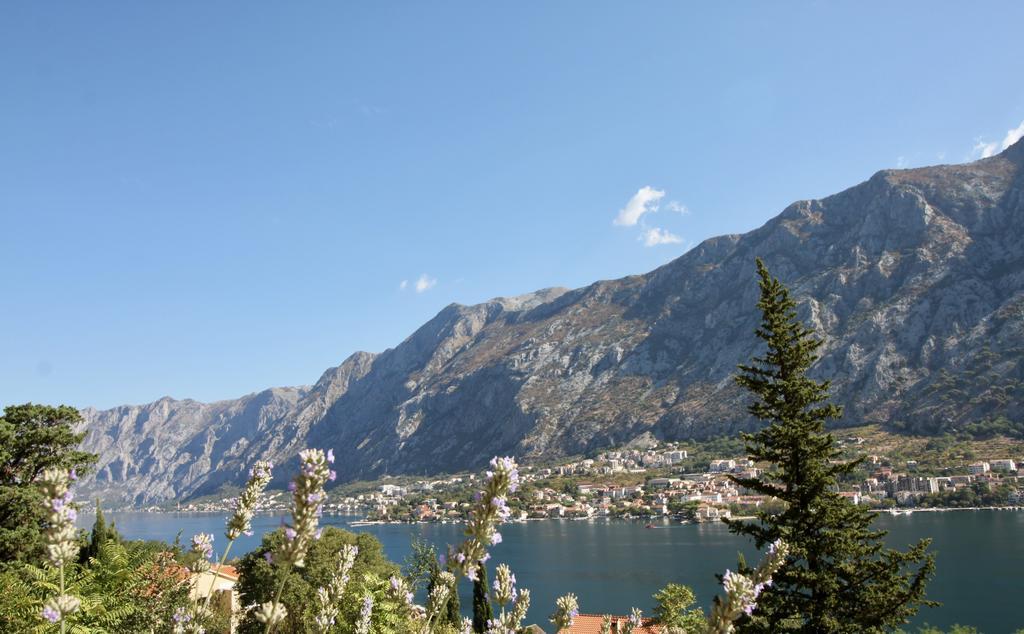 Villa Mima Kotor Dış mekan fotoğraf